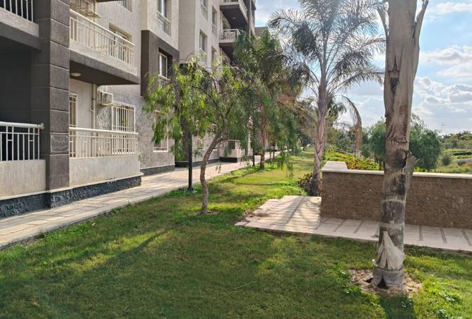 8416746 - صورة العقار 3