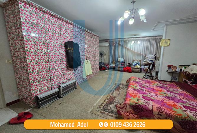 7980281 - Property Image 2