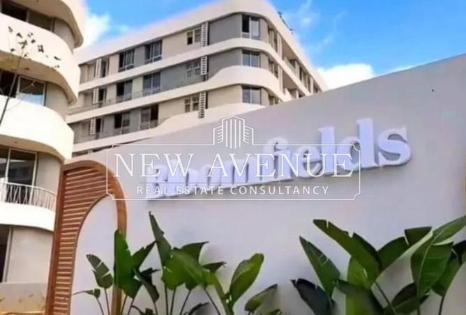 8225271 - Property Image 3