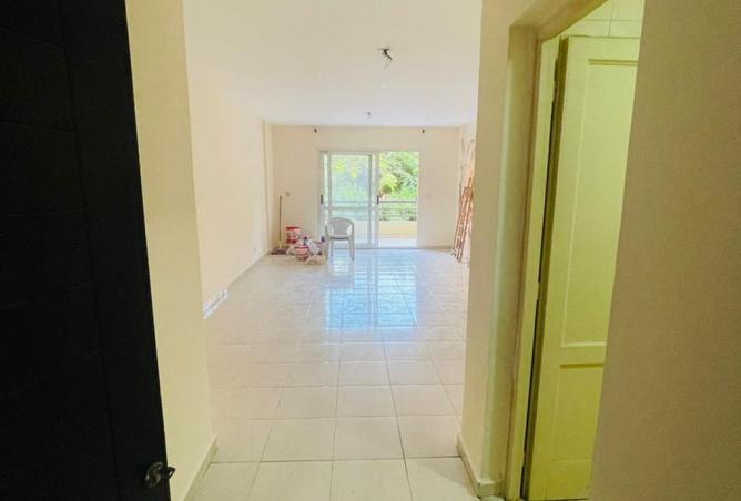 8169565 - Property Image 3