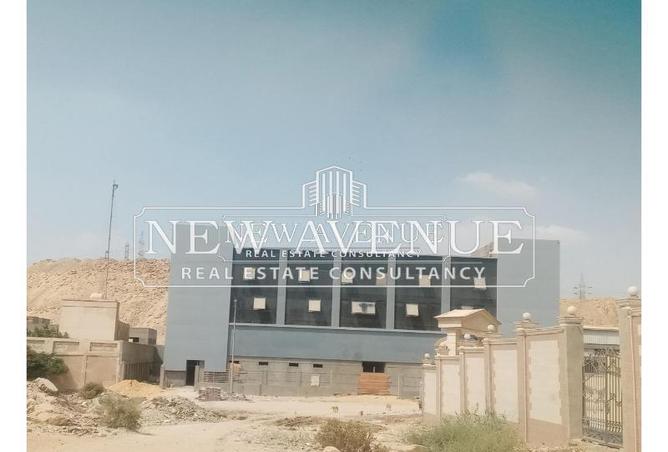 8431384 - صورة العقار 3