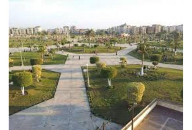 7997285 - صورة العقار 2