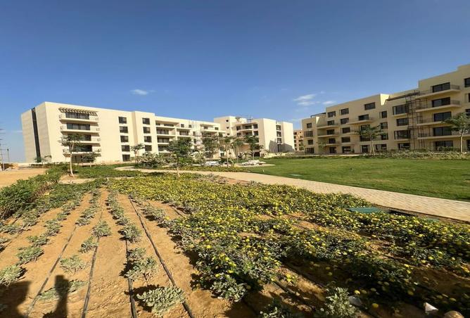 8147370 - الصورة الرئيسية للعقار