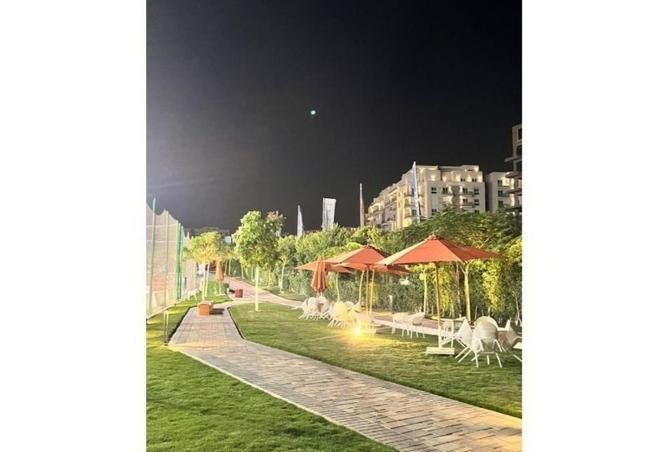 7906877 - صورة العقار 3