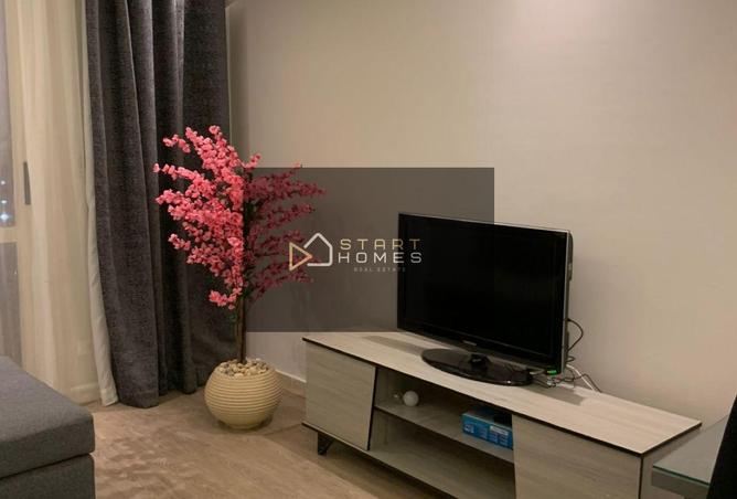 8397817 - Property Image 3