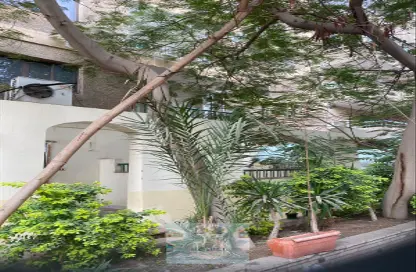 Whole Building - Studio - 7+ Bathrooms for sale in Ahmed Fakhry St. - 6th Zone - Nasr City - Cairo