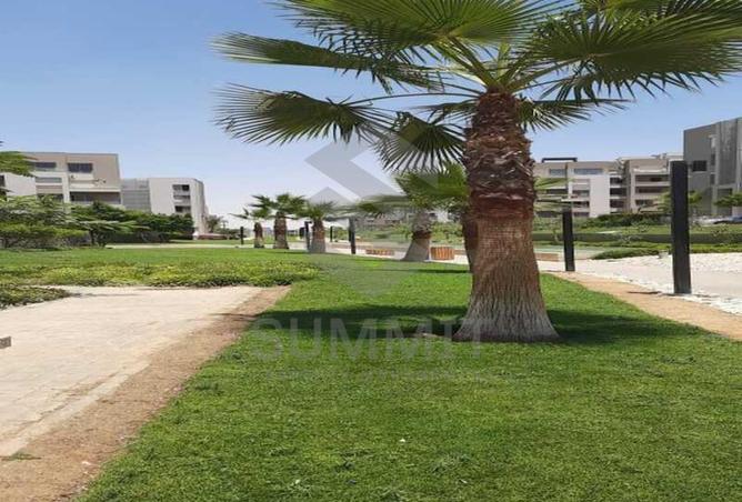 8035273 - صورة العقار 3