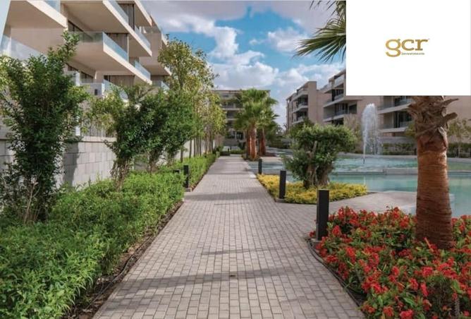 8380280 - Property Image 3