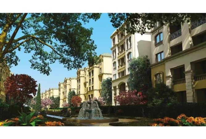 8221481 - Property Image 3