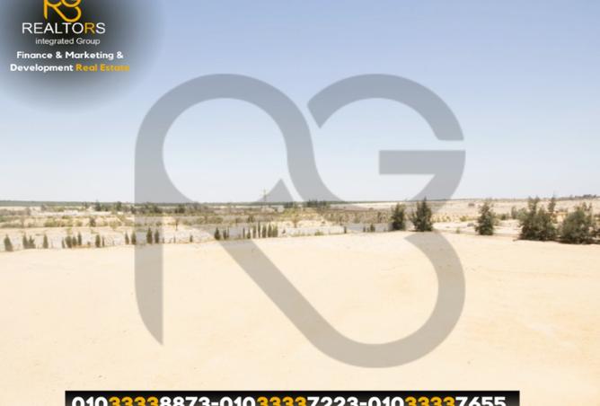 7462431 - صورة العقار 2