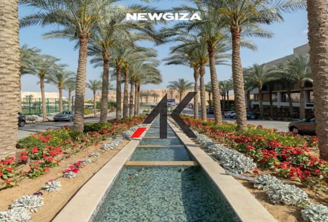 8442092 - Property Image 2