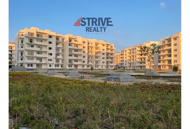 8363942 - Property Image 3