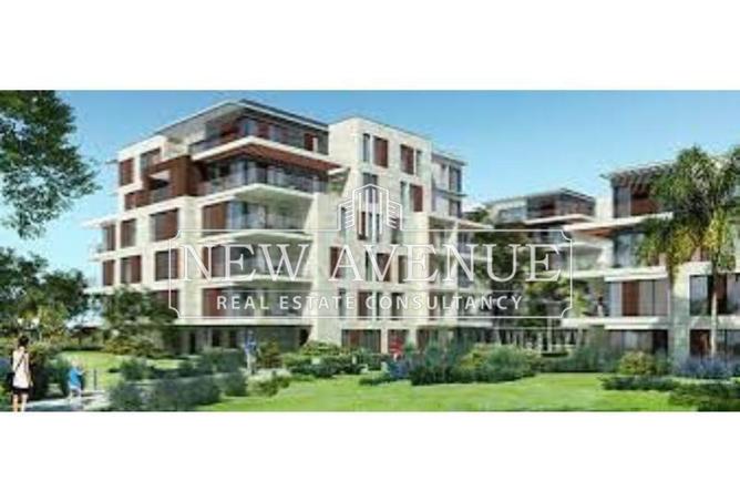 8430828 - Property Image 3