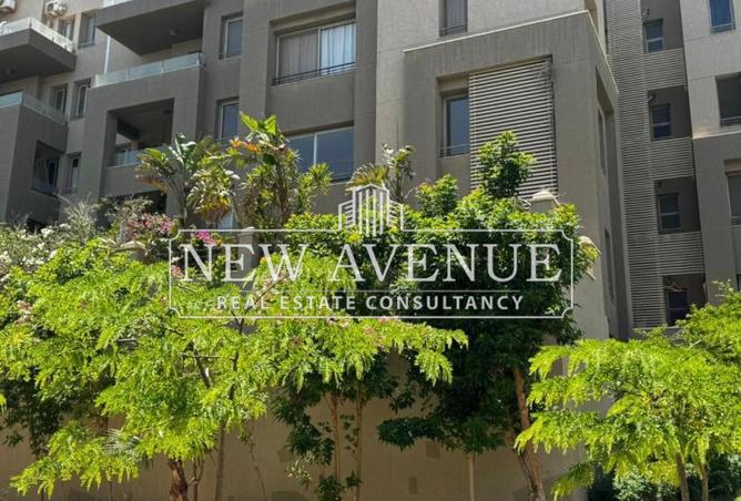 8112671 - Property Image 3