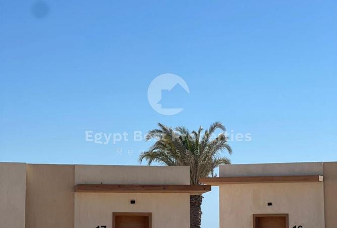 7918193 - Property Image 3
