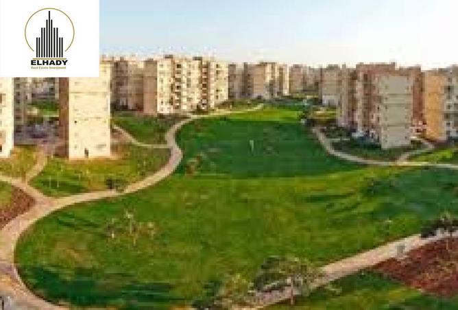 8016196 - صورة العقار 3
