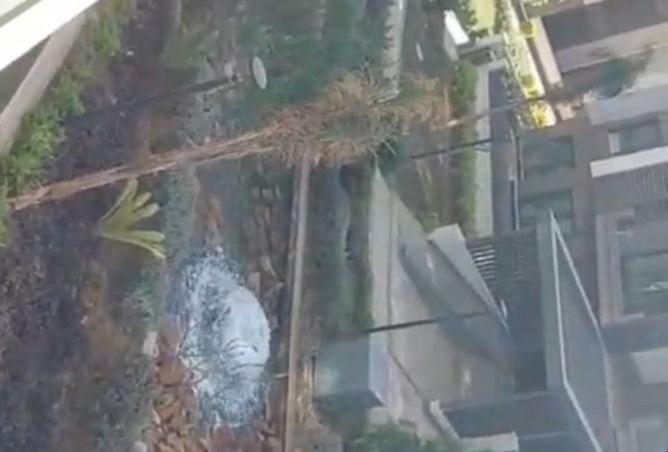 8328285 - صورة العقار 2