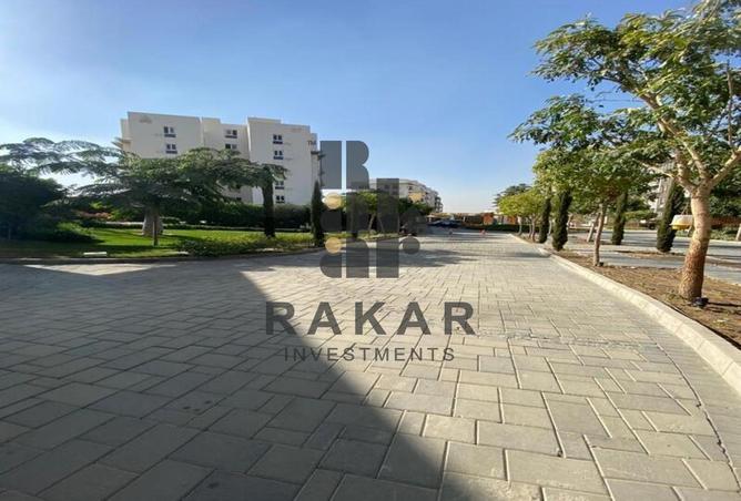 8234944 - Property Image 3