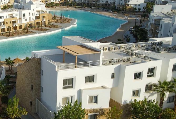 8246219 - صورة العقار 2