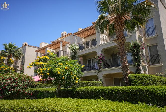 8239198 - Property Image 2