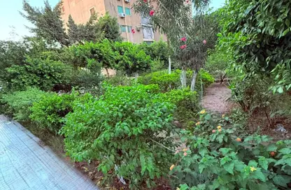 Apartment - 3 Bedrooms - 1 Bathroom for sale in El Estad - Nasr City - Cairo