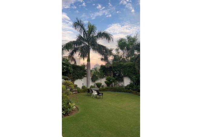 8167982 - صورة العقار 2