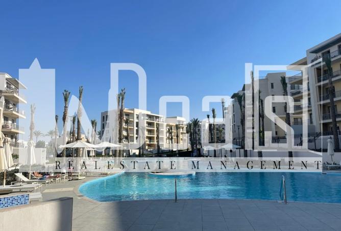 8484596 - Property Image 3