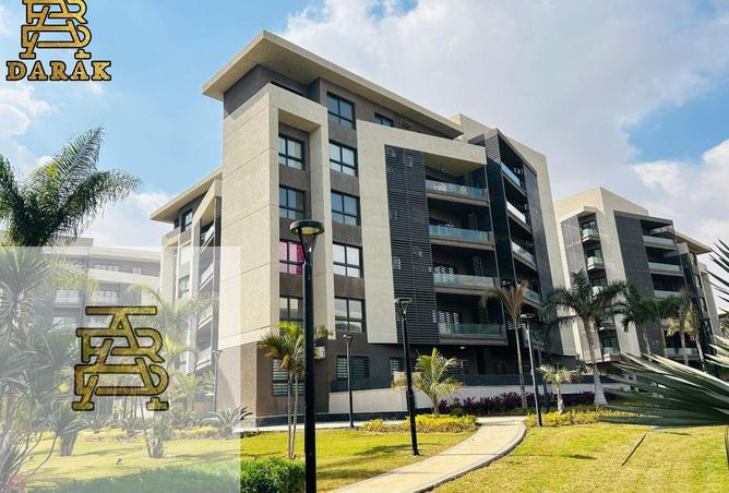 8438093 - Property Image 3