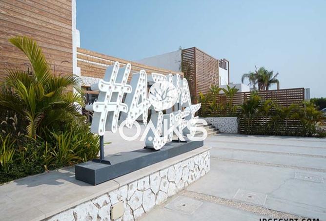 8138008 - Property Image 3