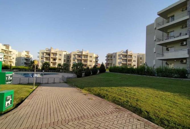 8290132 - Property Image 3