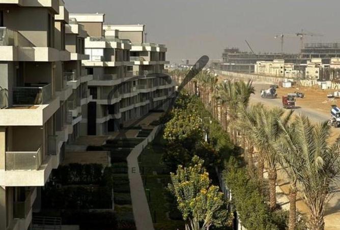 8269260 - Property Image 2