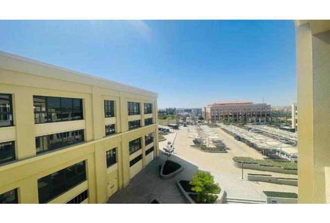8044345 - Property Image 3