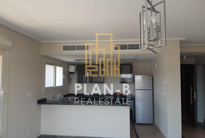 8050433 - Property Image 3