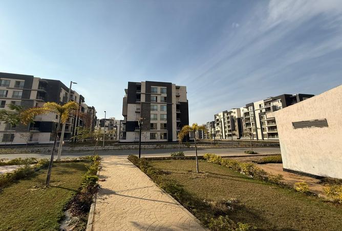 7988404 - Property Image 3
