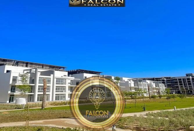 8444882 - Property Image 3