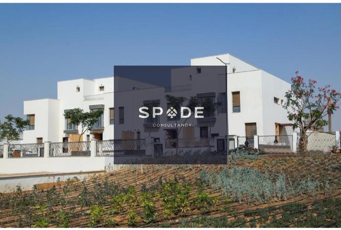 8179416 - صورة العقار 2