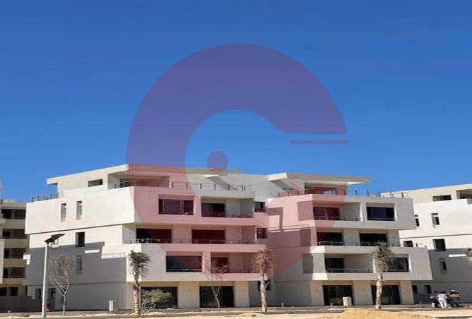 8248355 - صورة العقار 3