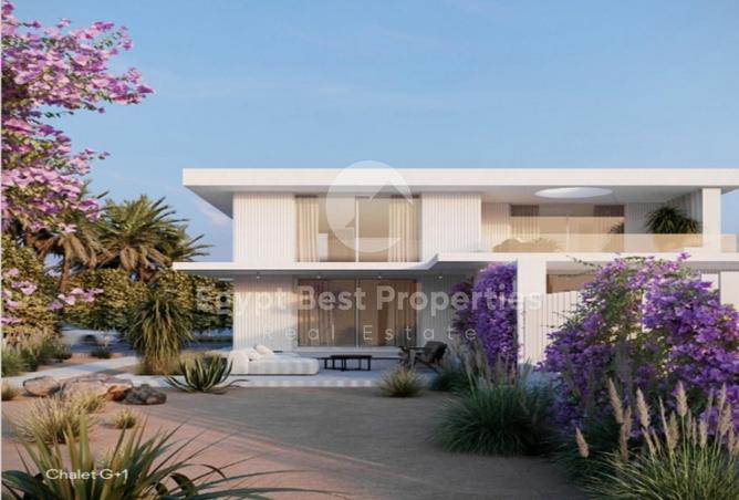 7982776 - Property Image 3