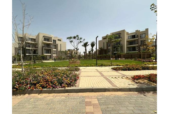 7993932 - صورة العقار 2
