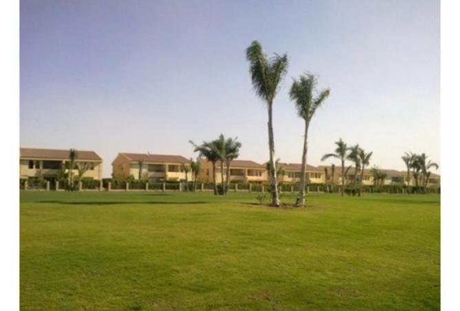 8384663 - Property Image 2