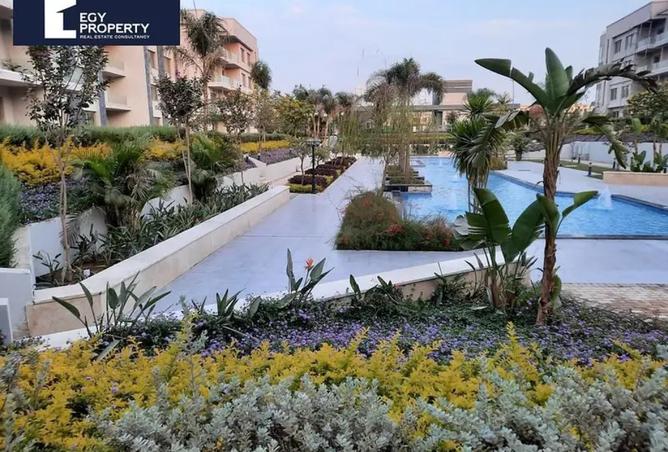 8195875 - صورة العقار 2