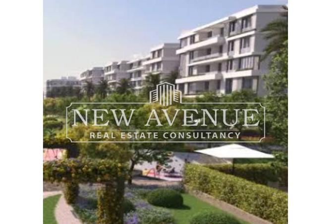 7983898 - Property Image 2