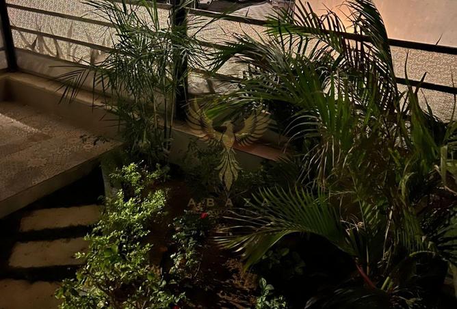 8431653 - صورة العقار 2