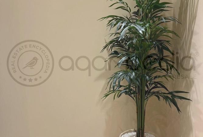 8399187 - Property Image 3