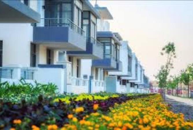 8294290 - Property Image 3