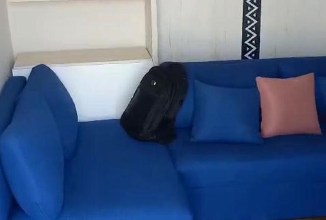 8479140 - صورة العقار 2