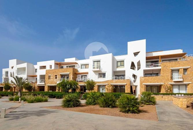 8161083 - Property Image 2