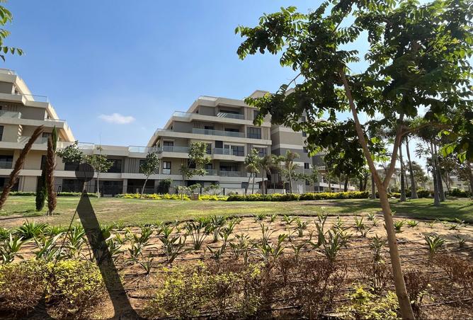 8231184 - صورة العقار 2