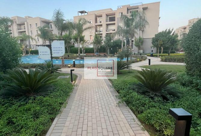 7997427 - صورة العقار 2