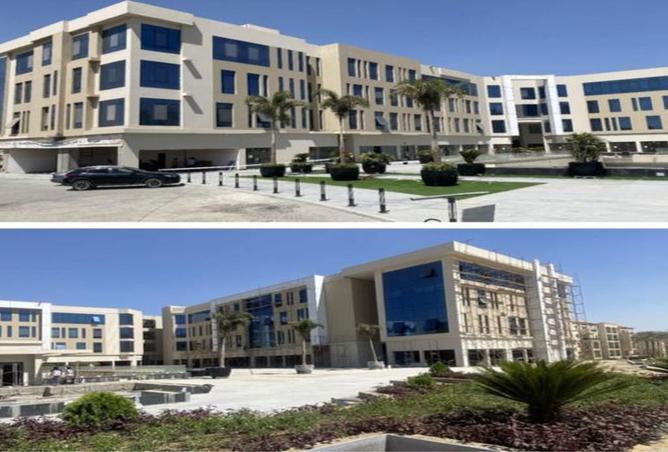 7912932 - صورة العقار 3